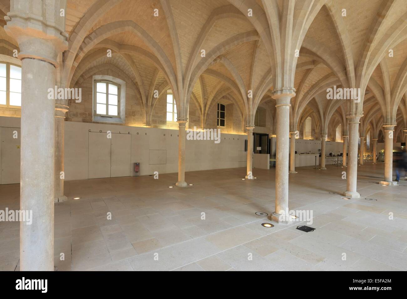 Frankreich, ile de france, pariser 5e-Viertel, rue de poissy, College des bernardins, Religion, architecte jm wilmotte, grande nef, Piliers, Voutes. Datum: 2011-2012 Stockfoto