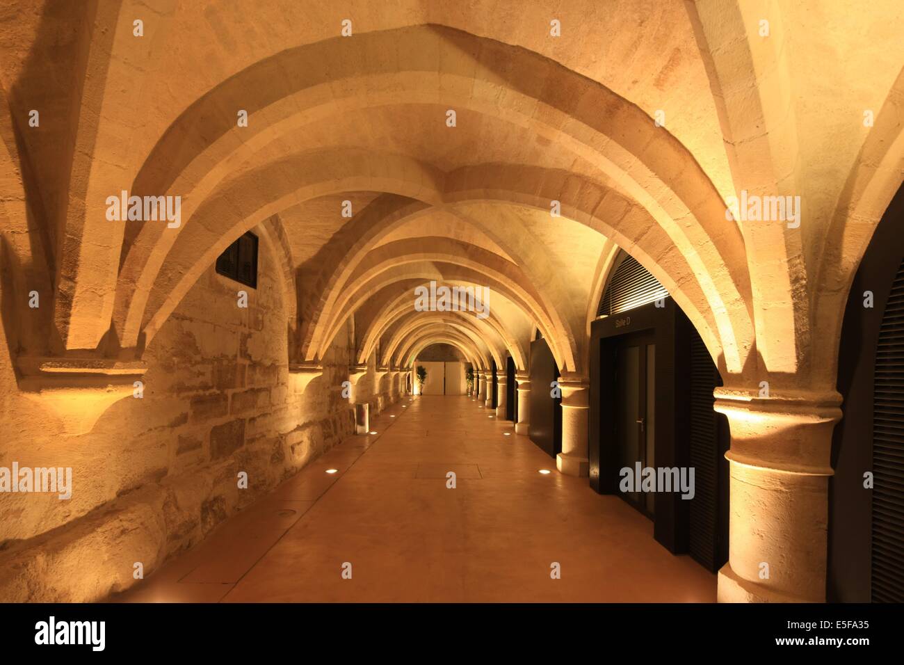 Frankreich, ile de france, pariser 5e-Viertel, rue de poissy, College des bernardins, Religion, architecte jm wilmotte, Sellier, Piliers. Datum: 2011-2012 Stockfoto