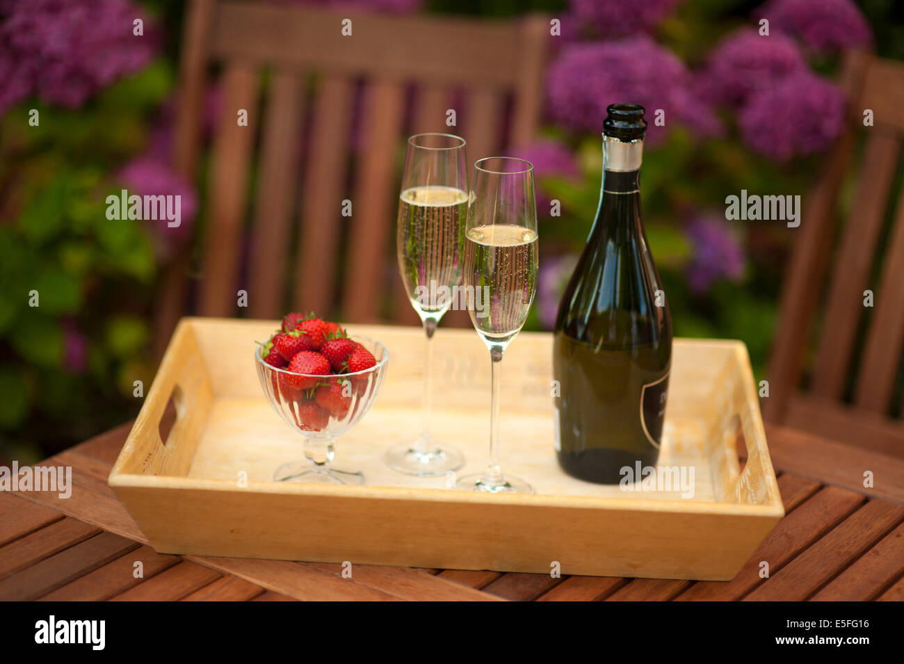 Tablett mit Champagner und Erdbeeren im Garten Stockfoto