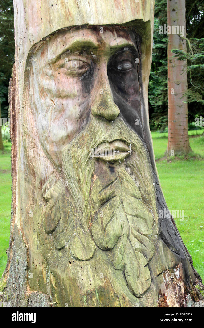 Ein grüner Mann geschnitzt in einen Baumstamm, Lynford Arboretum, Norfolk, Großbritannien Stockfoto