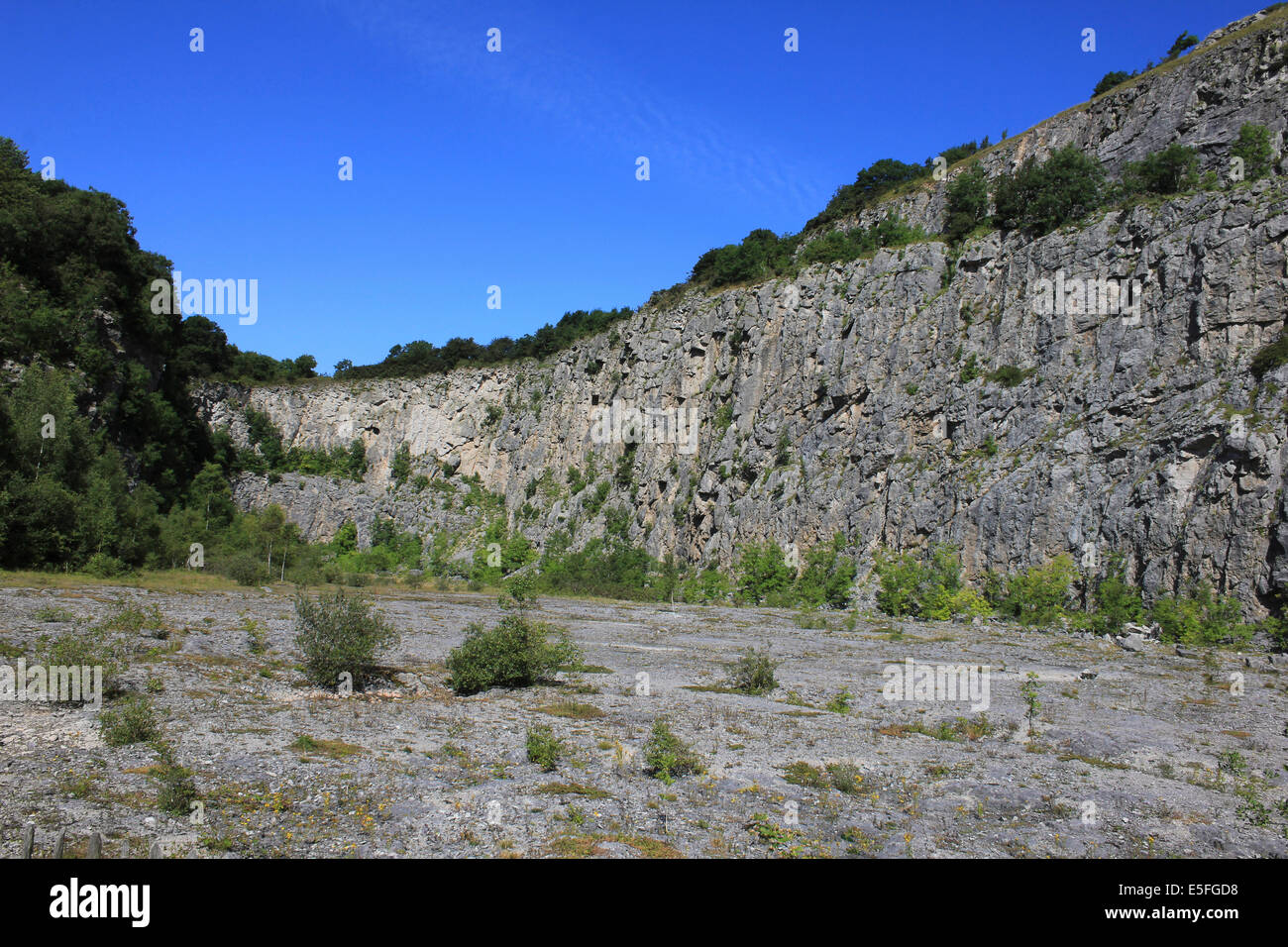 Die alten Kalksteinbruch bei Warton Klippen Naturschutzgebiet, Lancashire, UK Stockfoto