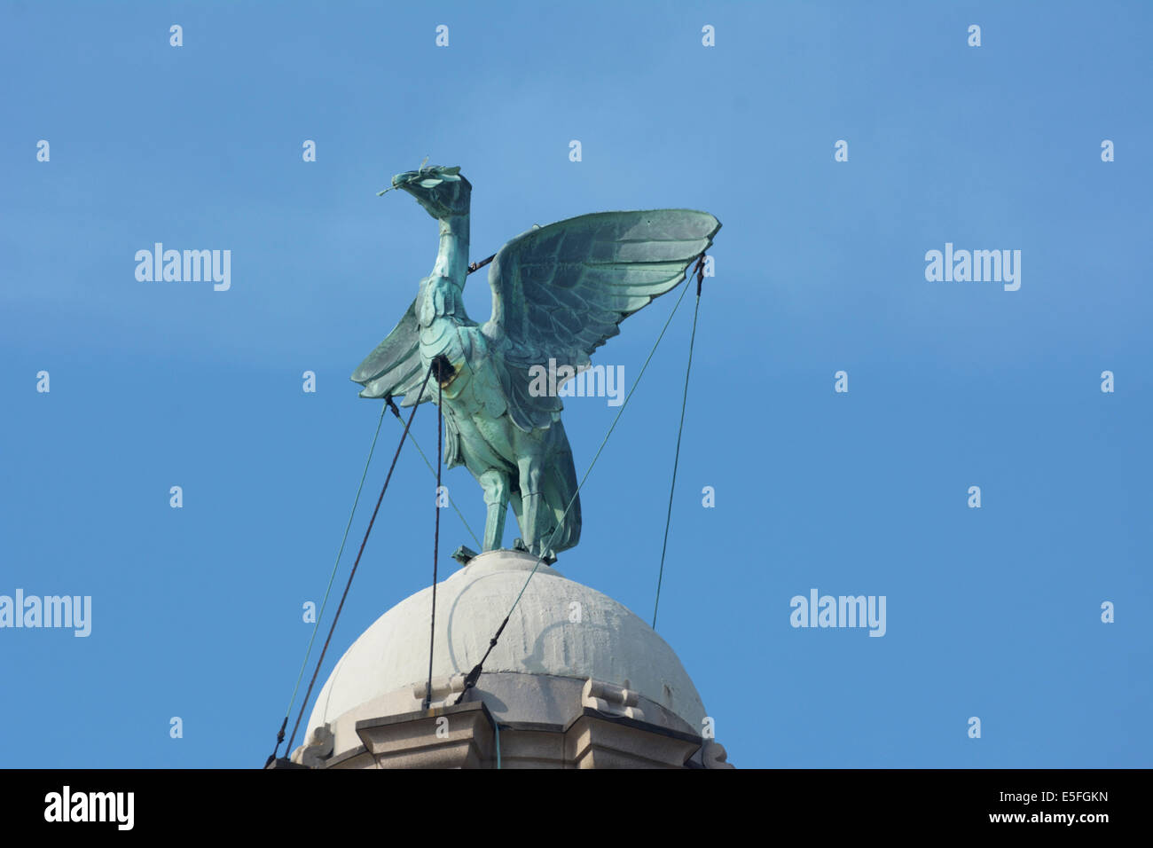 Rummenigge ikonischen Liverbird Statue auf dem Uhrturm des Royal Liver Building. Stockfoto