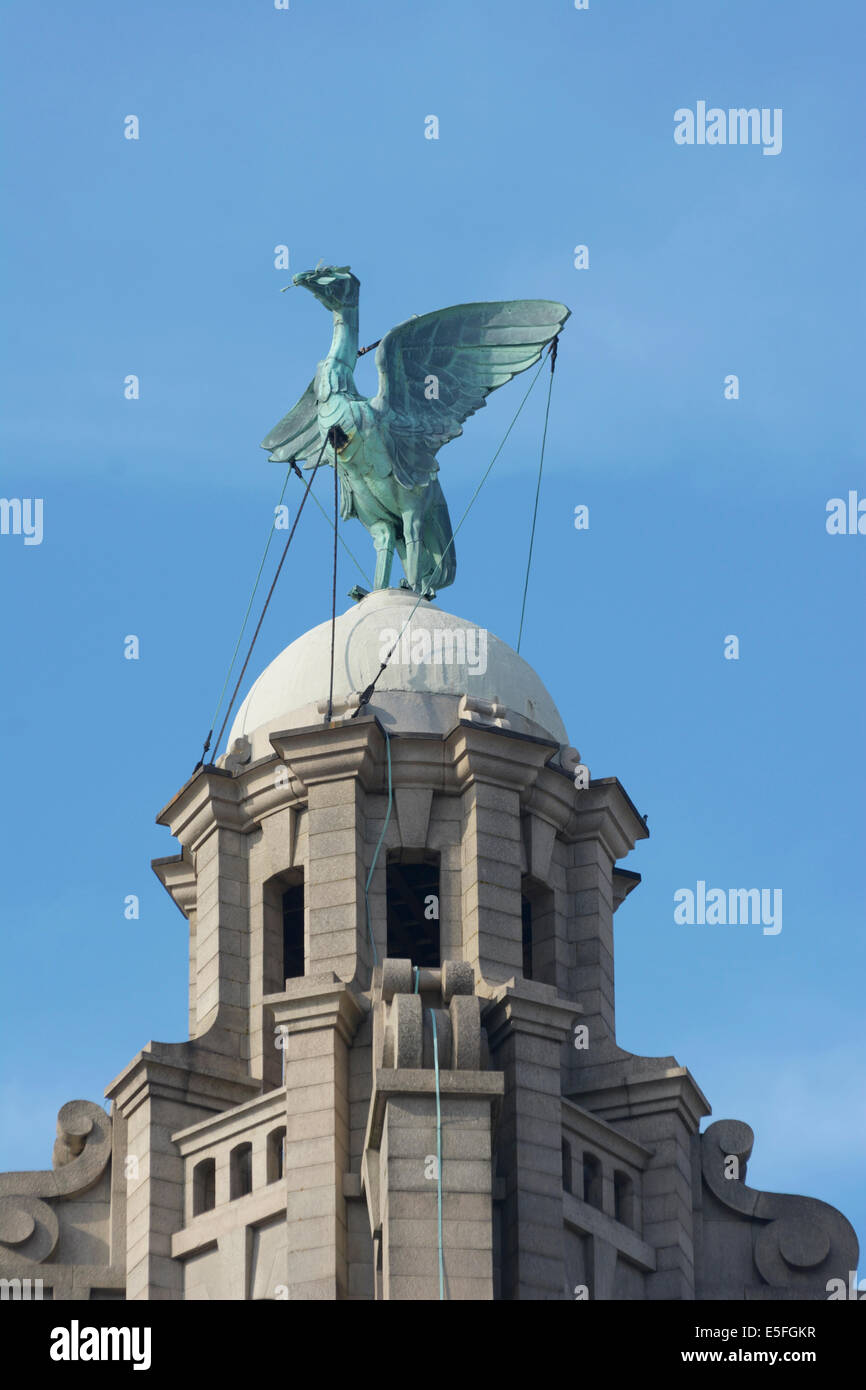 Rummenigge ikonischen Liverbird Statue auf dem Uhrturm des Royal Liver Building. Stockfoto