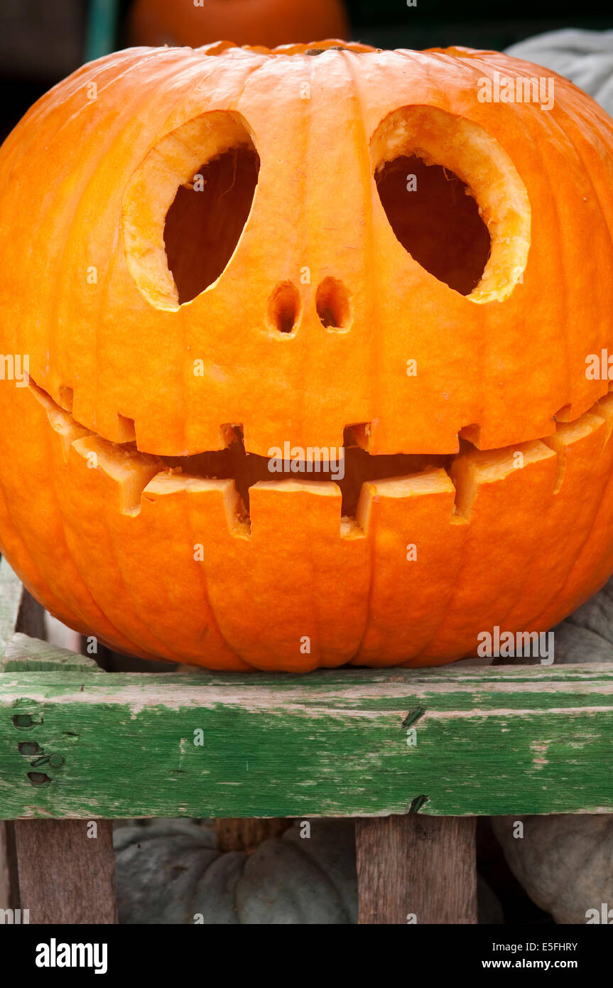 Halloween Kürbis Laterne Stockfoto