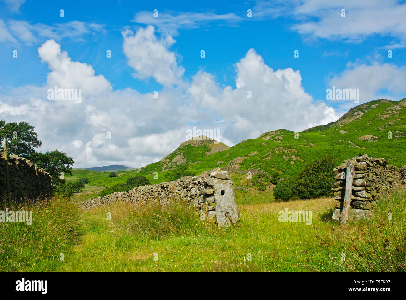 Ummauerten Pfad im Lickle Valley, Lake District National Park, Cumbria, England UK Stockfoto