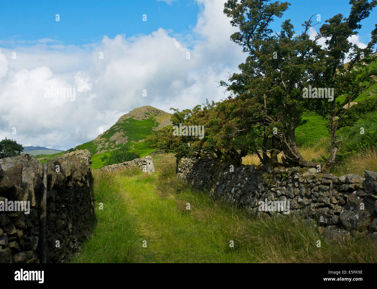 Ummauerten Pfad im Lickle Valley, Lake District National Park, Cumbria, England UK Stockfoto
