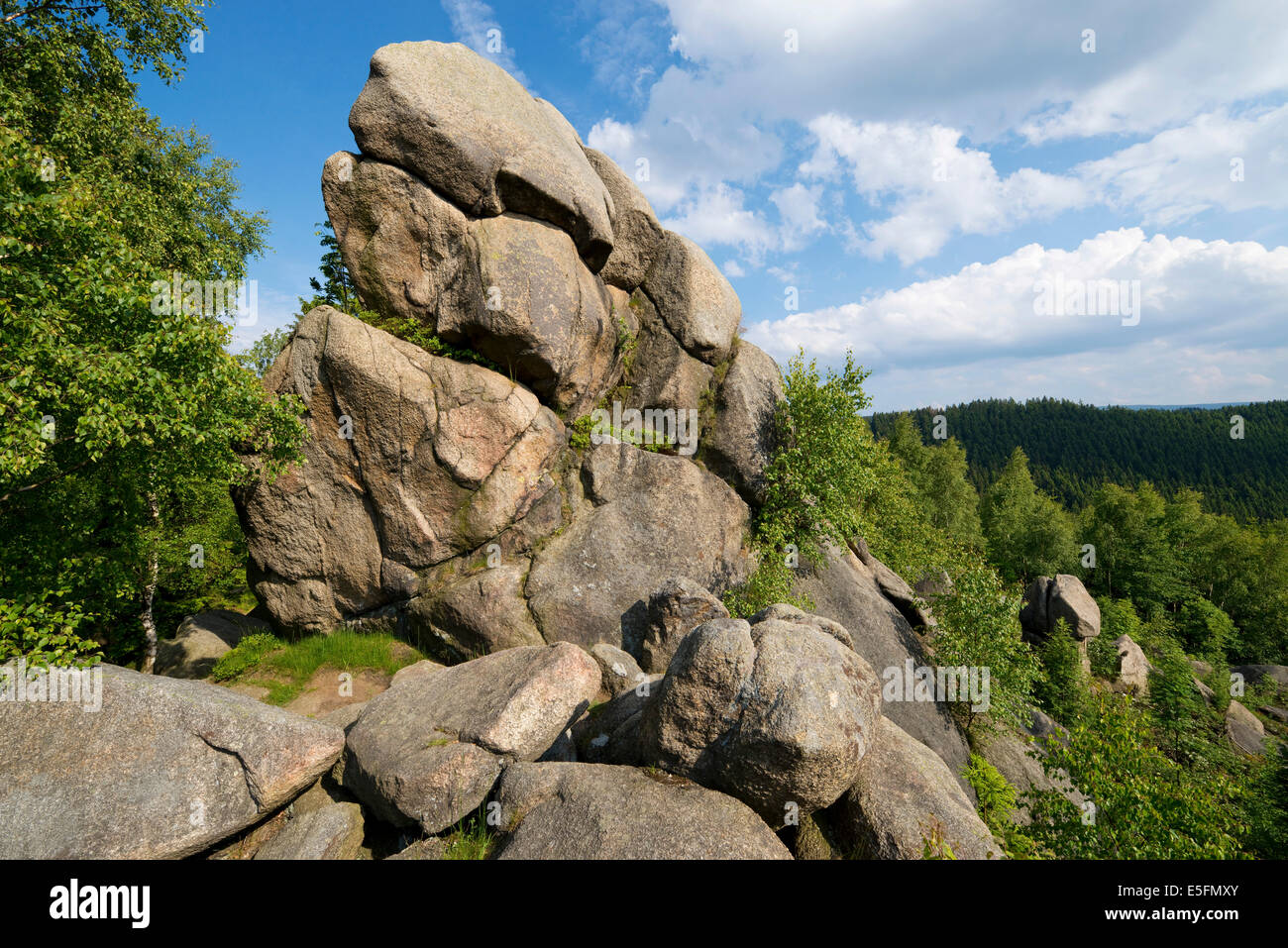 Feigenbaumklippe oder Feigenbaumkanzel, Granitfelsen, in der Nähe von Goslar, Harz, Niedersachsen, Deutschland Stockfoto