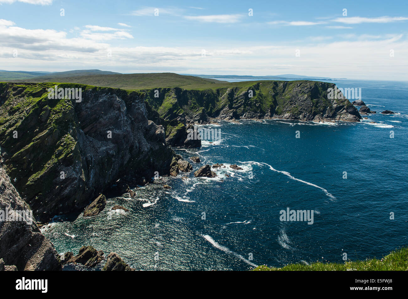 Blick von oben auf den Felsen am Hermaness, Unst, Shetland Insel Landschaft. Stockfoto