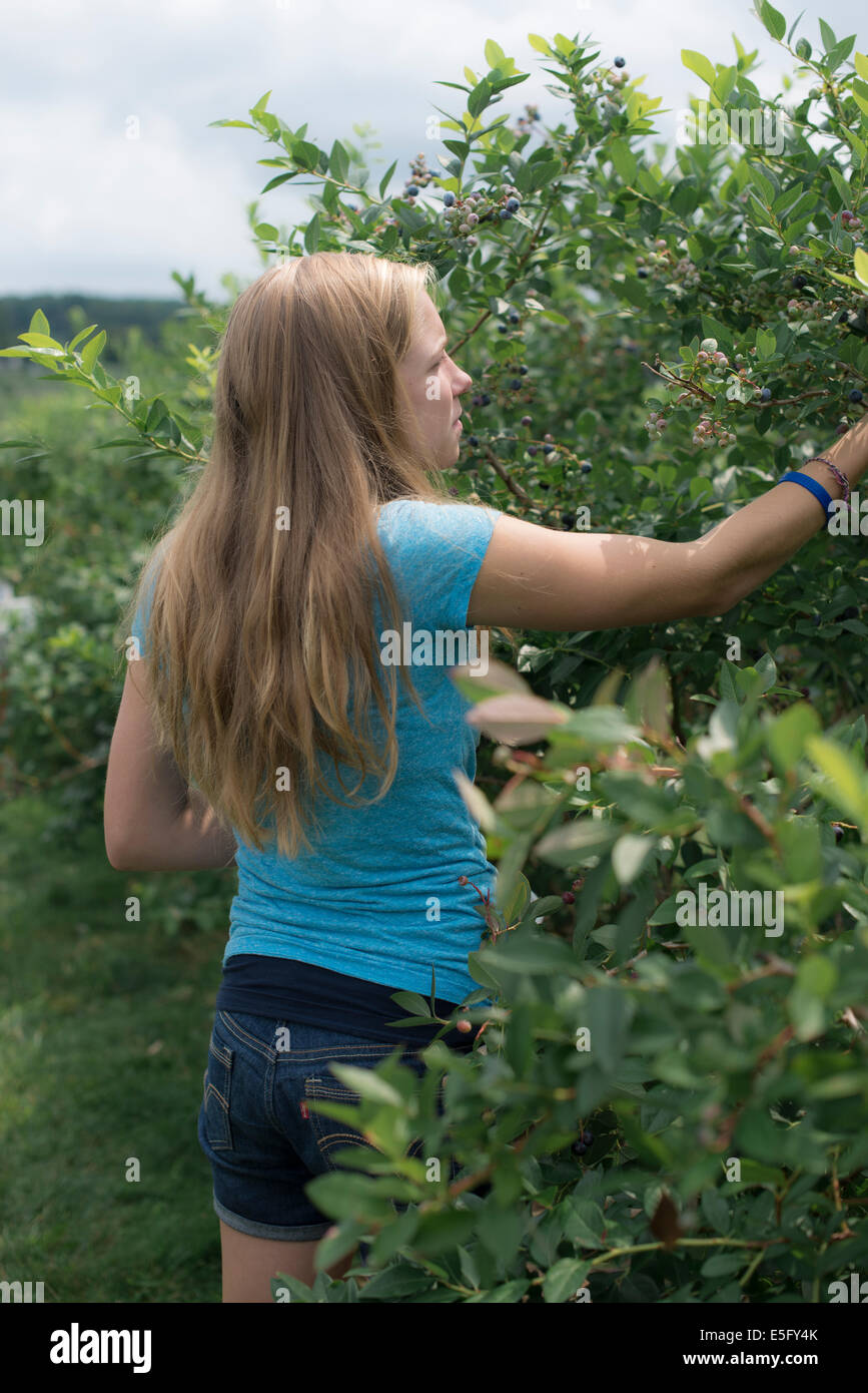 Teenager-Mädchen arbeiten in einem Obstgarten Stockfoto