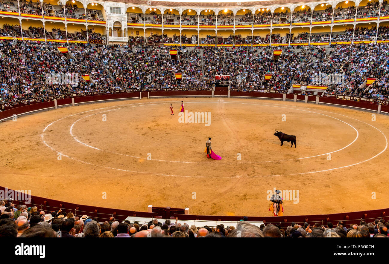 Ein typisch spanischen Stierkampf Stockfoto