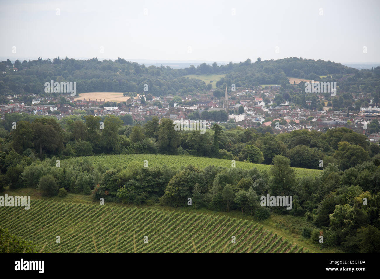 Blick auf Denbies Wine Estate Dorking Surrey. Stockfoto