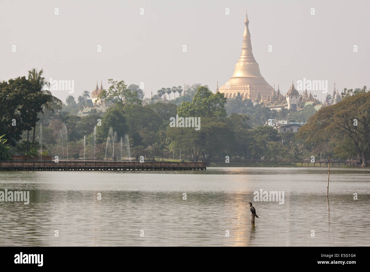Kandawgyi See mit der Shwedagon-Pagode in der Ferne, Yangon, Myanmar (Burma) Stockfoto