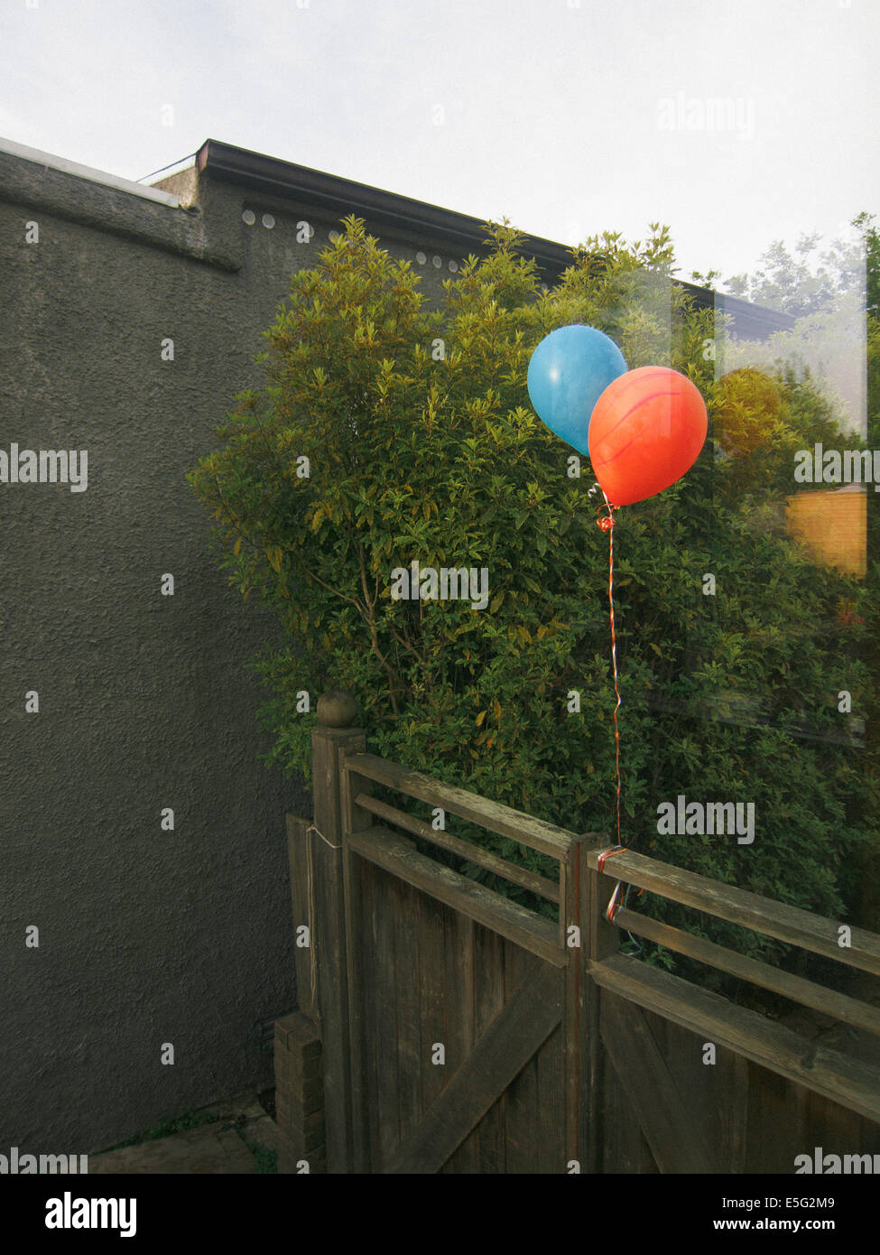 Luftballons schweben auf Zaun Stockfoto