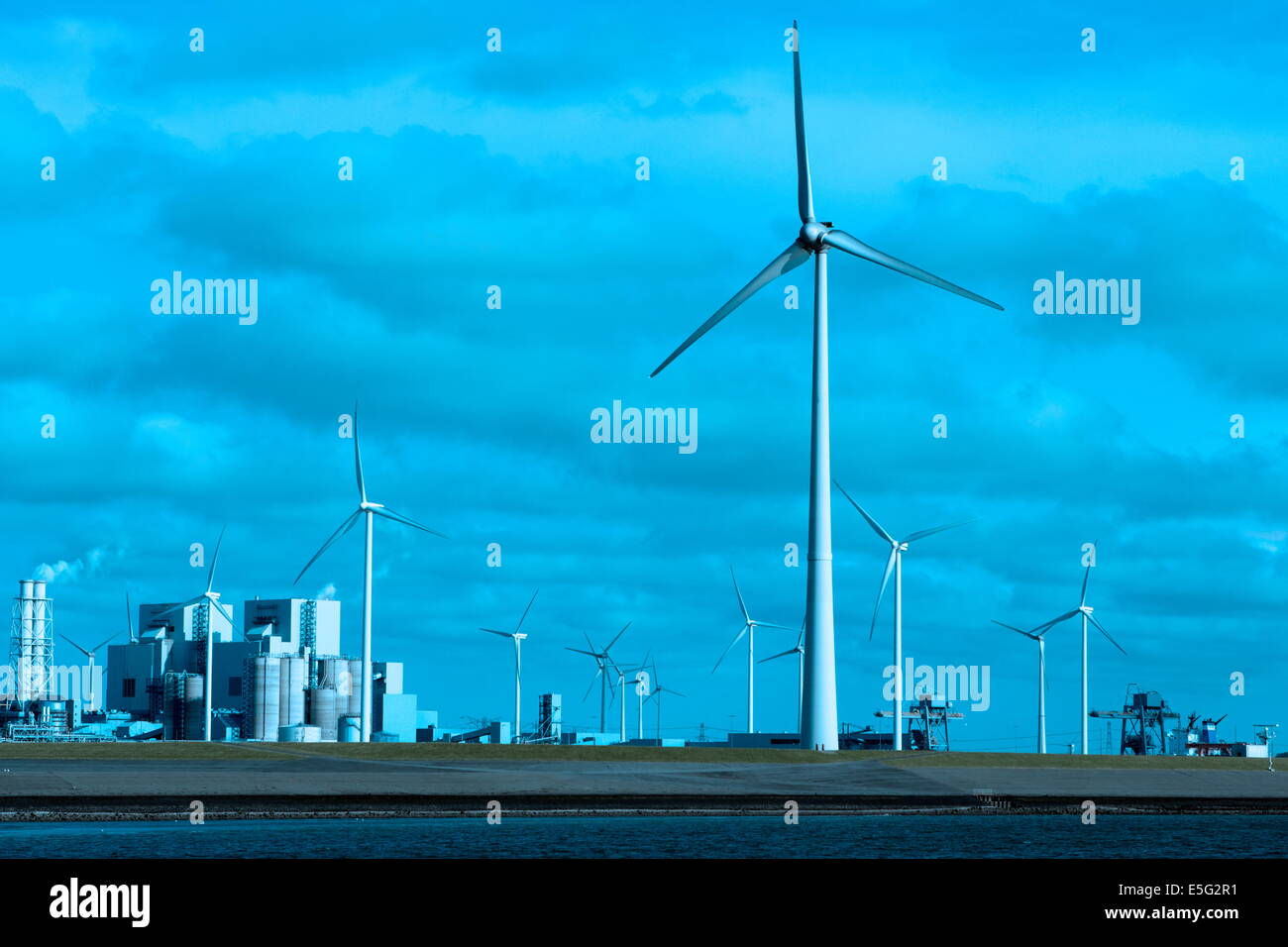 Eemshaven, Niederlande: 29. Juli 2014 - Pflanzen und Windmühlen in Groningen Stockfoto