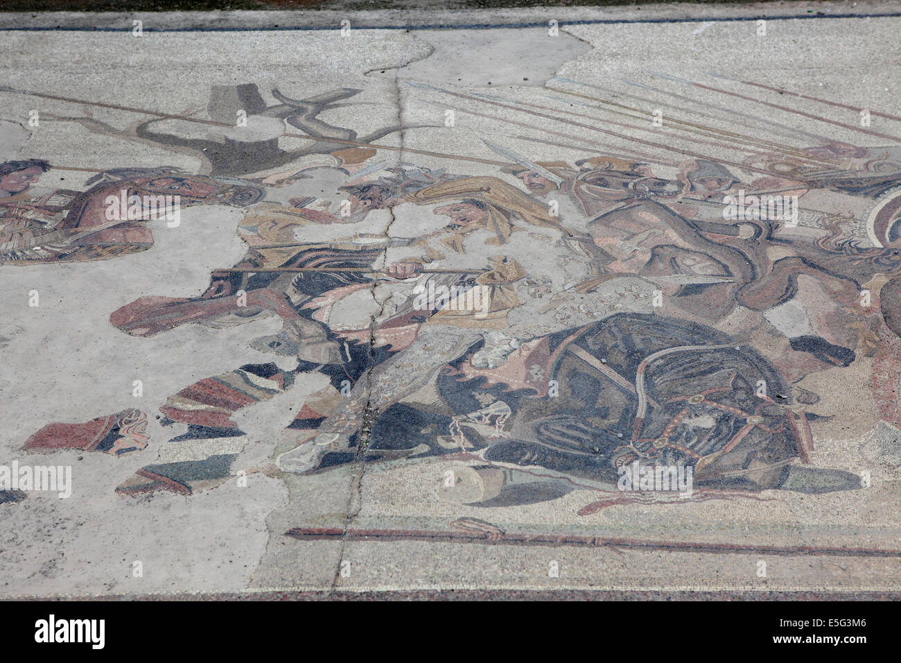 Mosaik von Krieg-Szene im Haus des Faun, Pompeji, Neapel, Italien Stockfoto