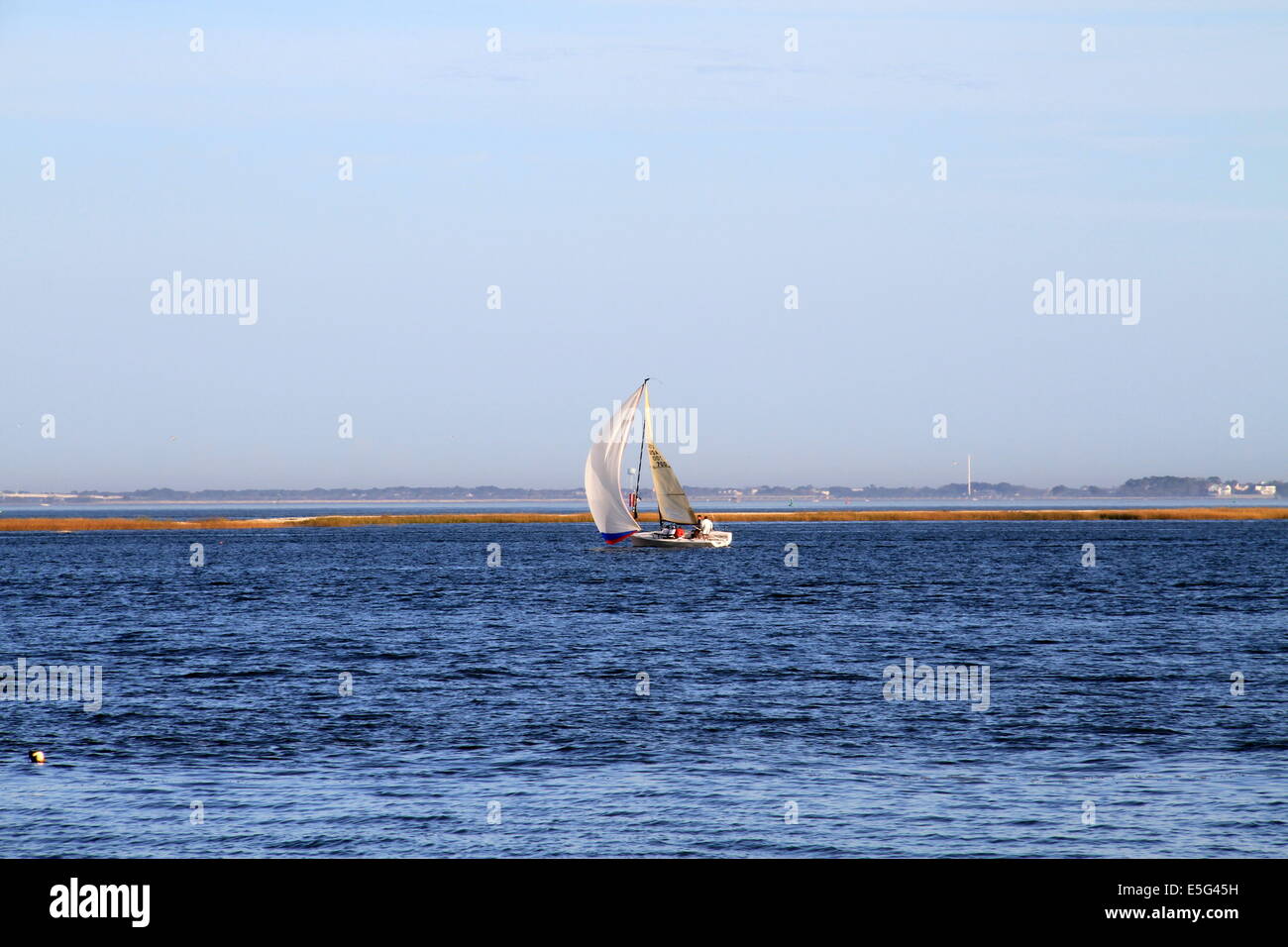 Fang den Wind Stockfoto