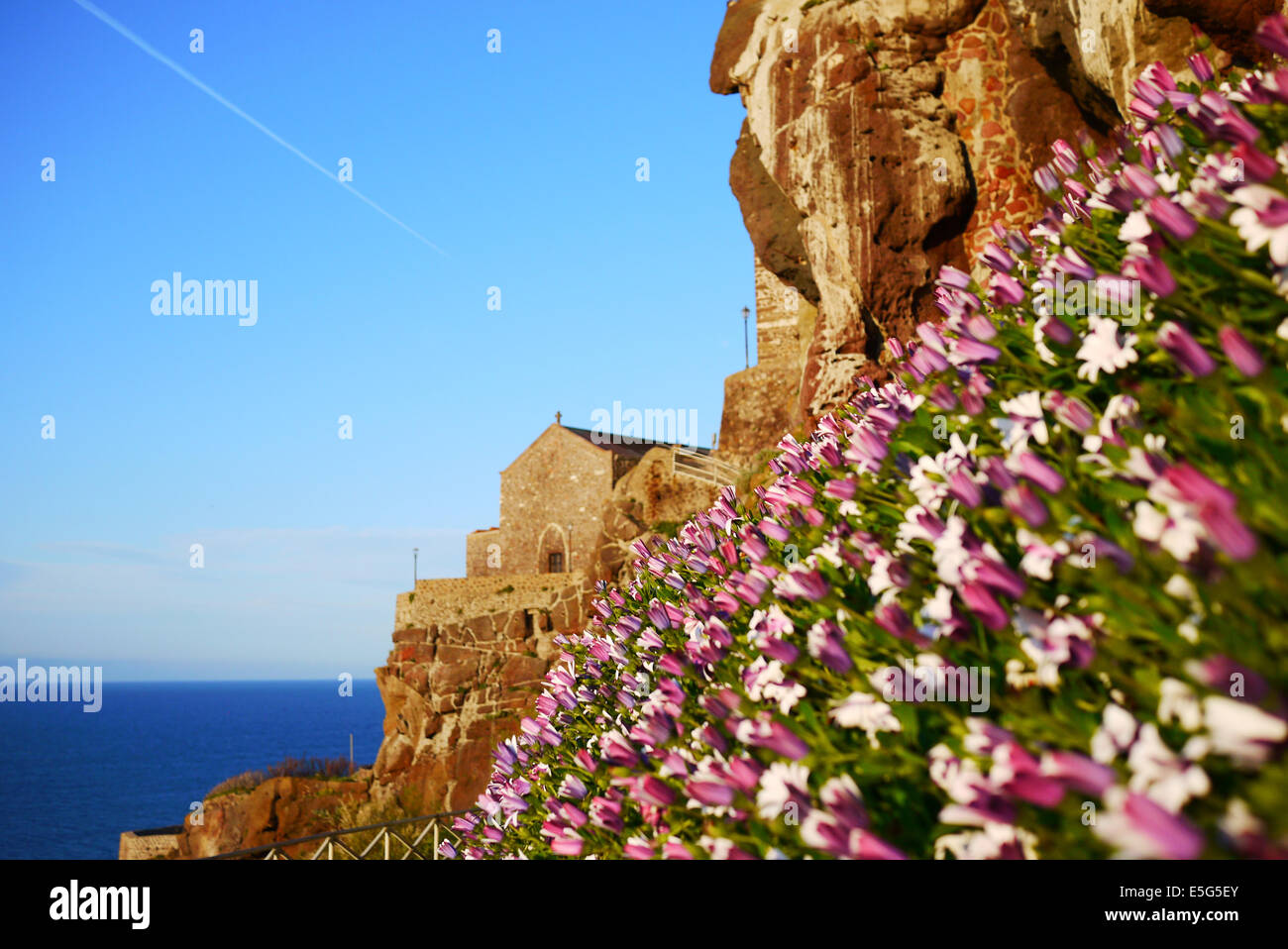 Sant Antonio abate Kirche eine Blumen in Festung Castelsardo, Sardinien, Italien Stockfoto