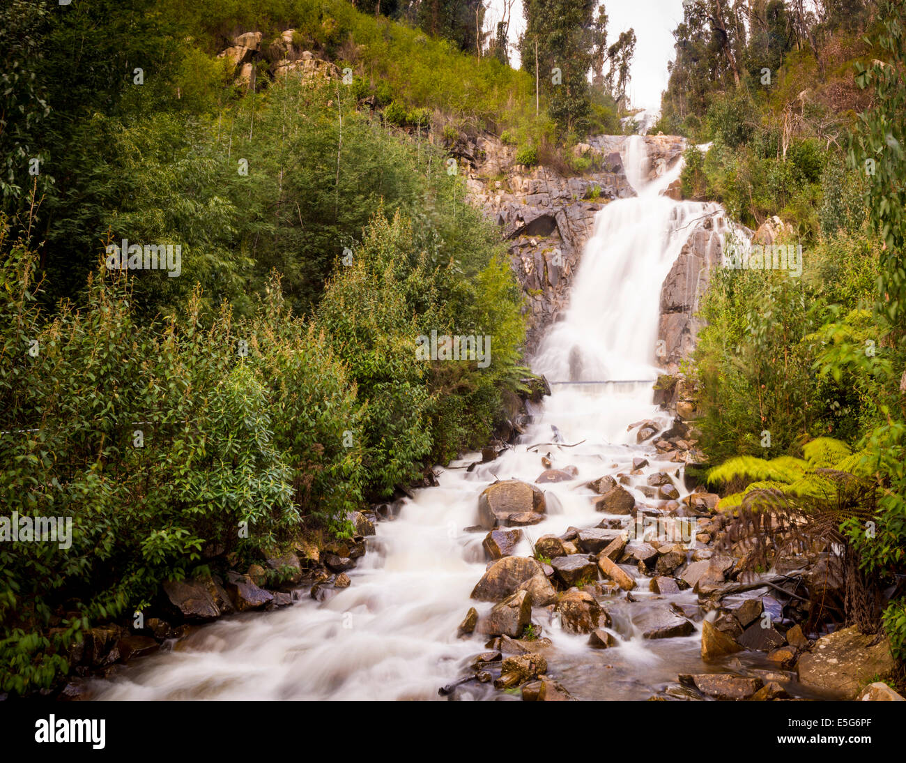 Steavenson Wasserfälle in der Nähe von Marysville, Australien im Winter voller Durchfluss Stockfoto
