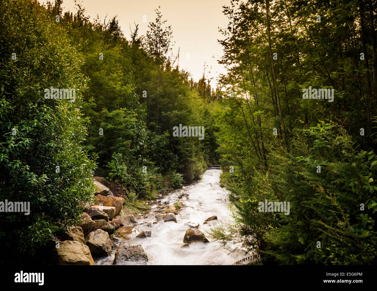Steavenson Wasserfälle in der Nähe von Marysville, Australien im Winter voller Durchfluss Stockfoto