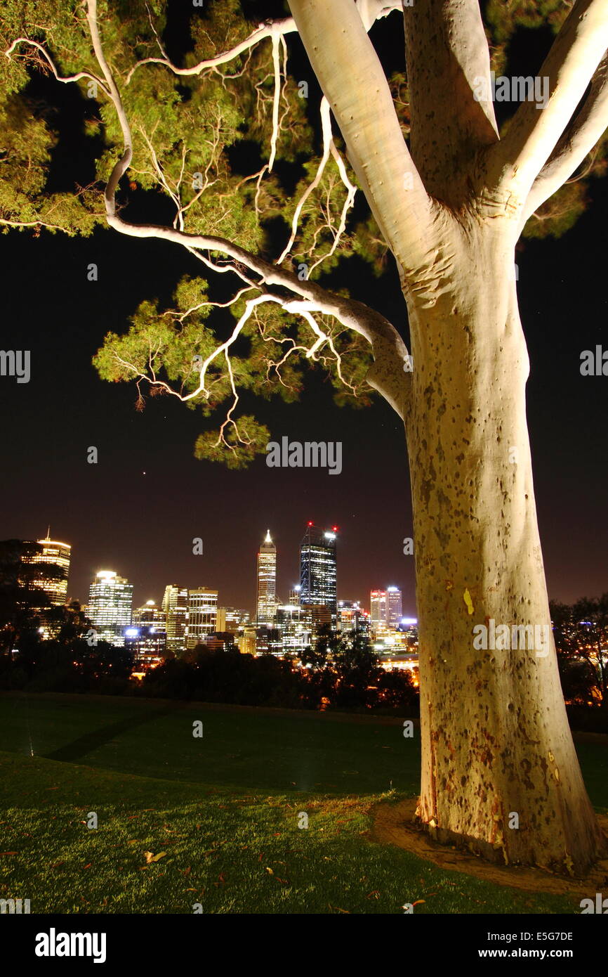 Stadt Perth, Western Australia in der Nacht von Kings Park betrachtet. Stockfoto