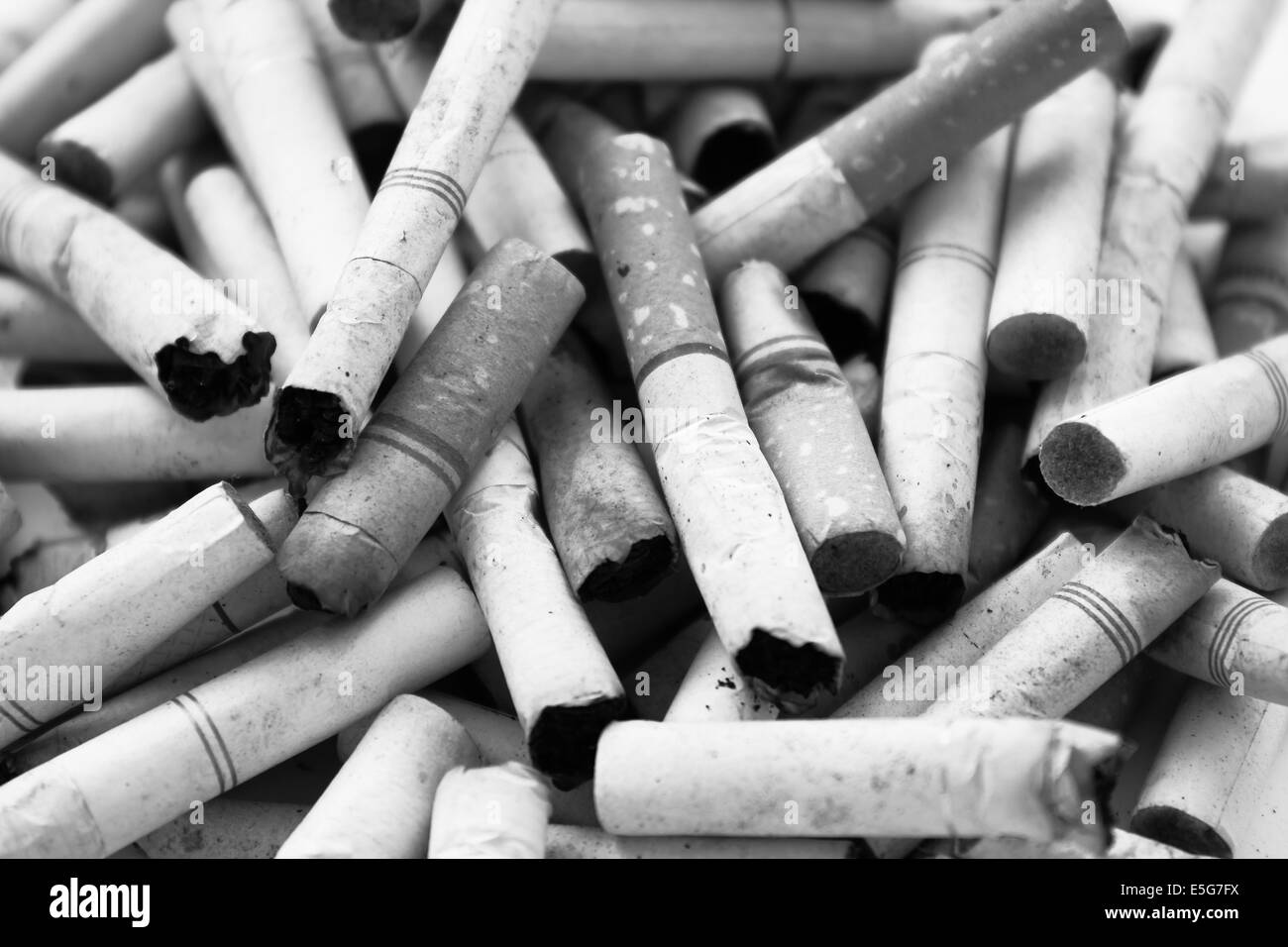 Zigarettenkippen Stockfoto