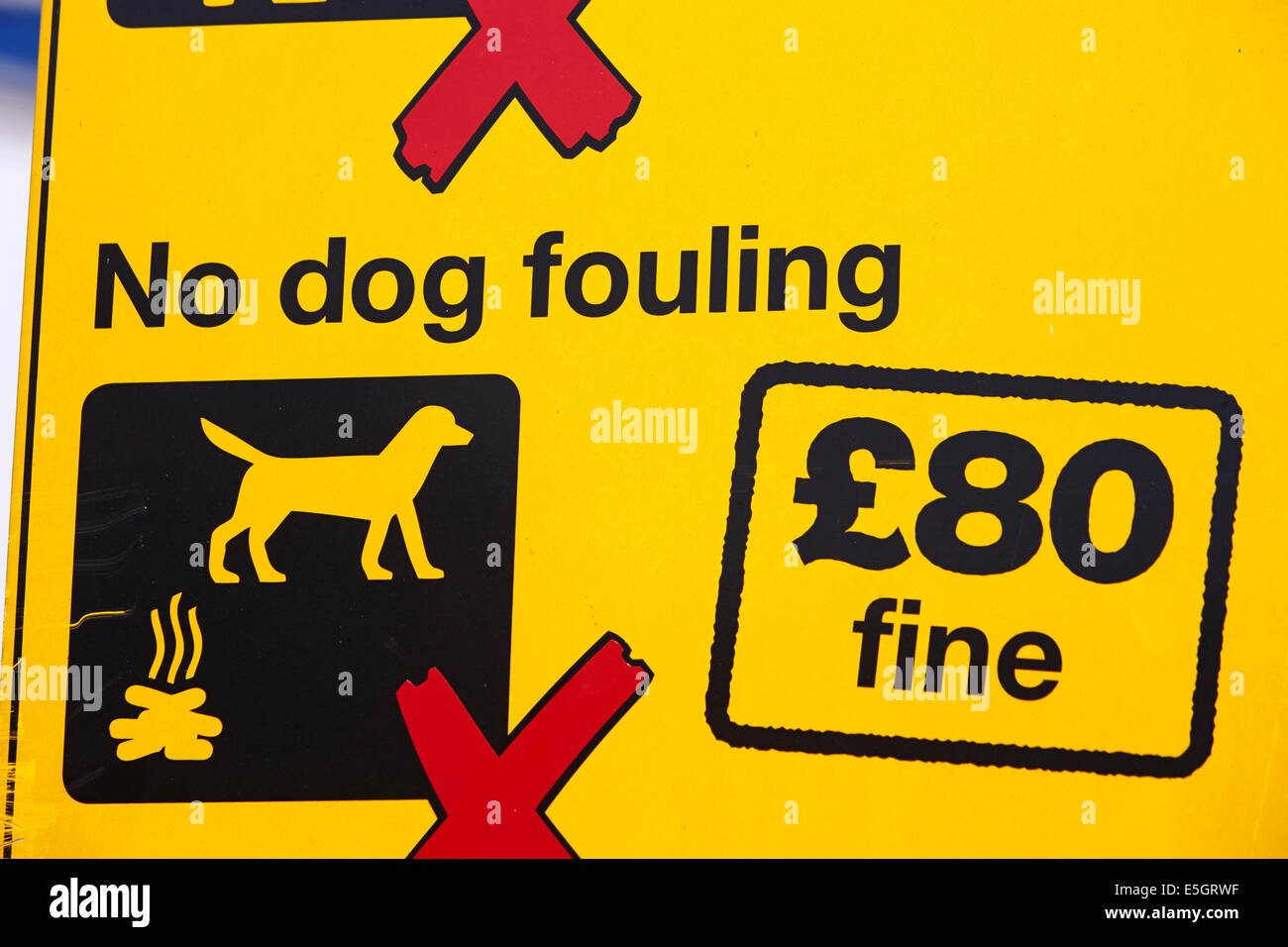 kein Hund fouling Warnschild mit Gemeinderat 80 Pfund feinen im Vereinigten Königreich Stockfoto