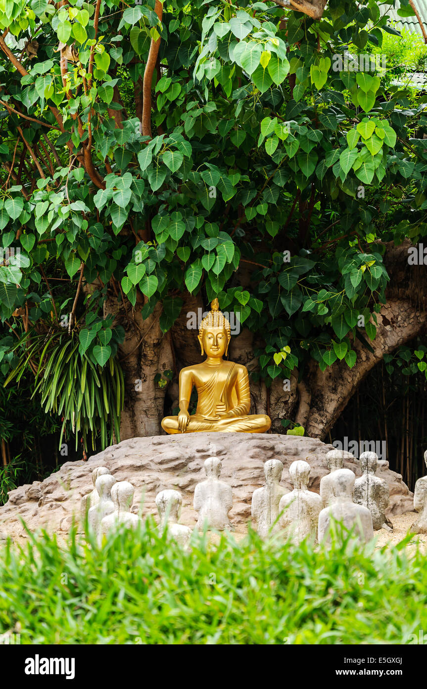 Buddha unter dem Bo-Baum auf Wat Phan-Tao Tempel in Chiang Mai, Thailand Stockfoto