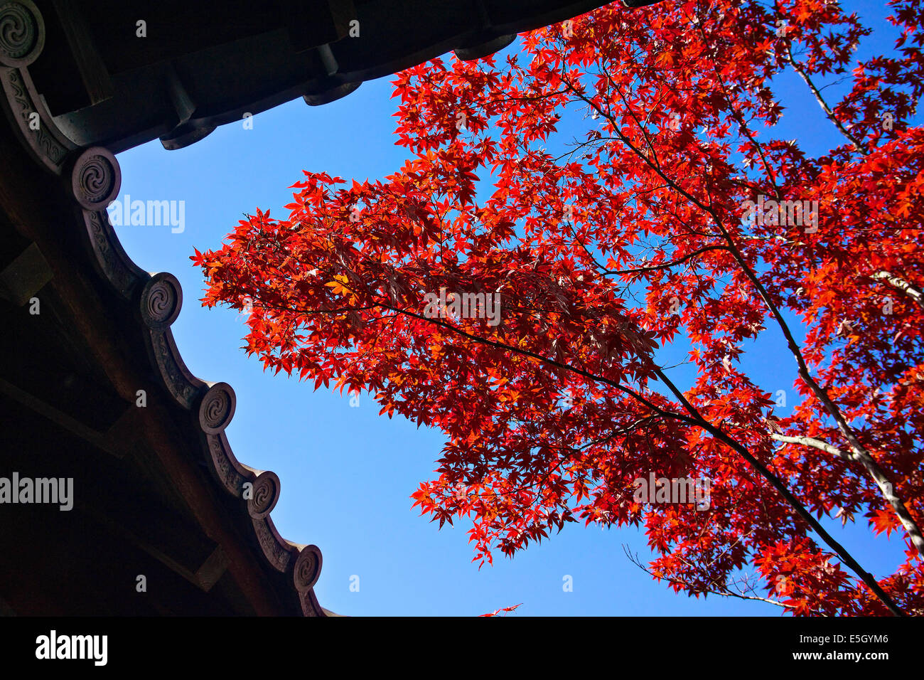 Tofuku-Ji-Tempel, Kyoto, Japan. Stockfoto