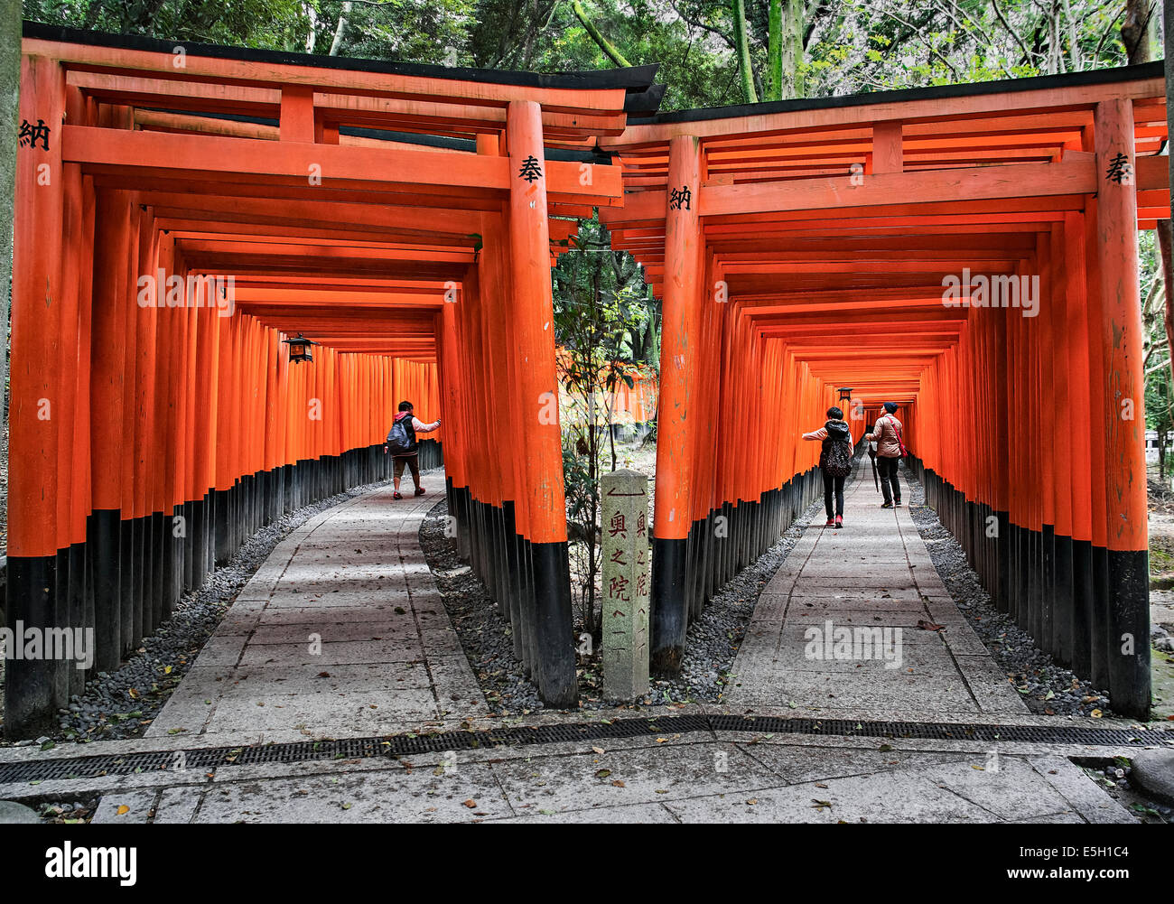 Torii Weg im Fushimi Inari, Kyoto, Japan. Stockfoto