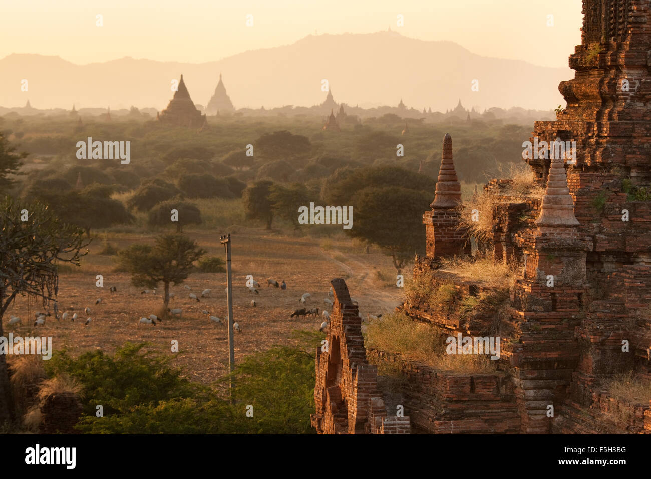 Zentrale Ebene der alten buddhistischen Tempel in Bagan, Birma (Myanmar) Stockfoto
