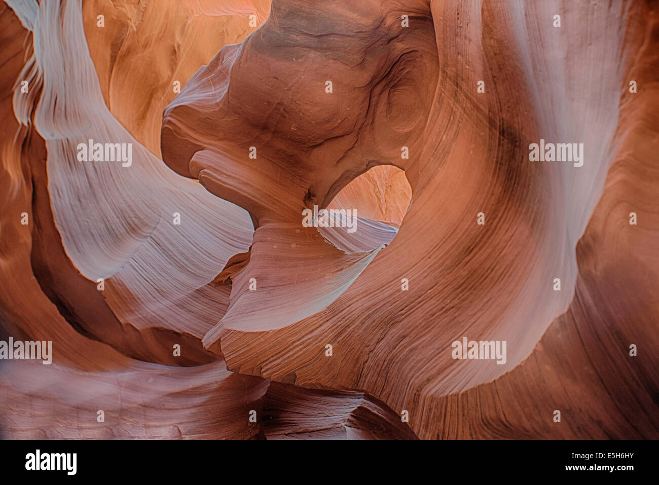 Navajo Sandstein gehauen Stockfoto