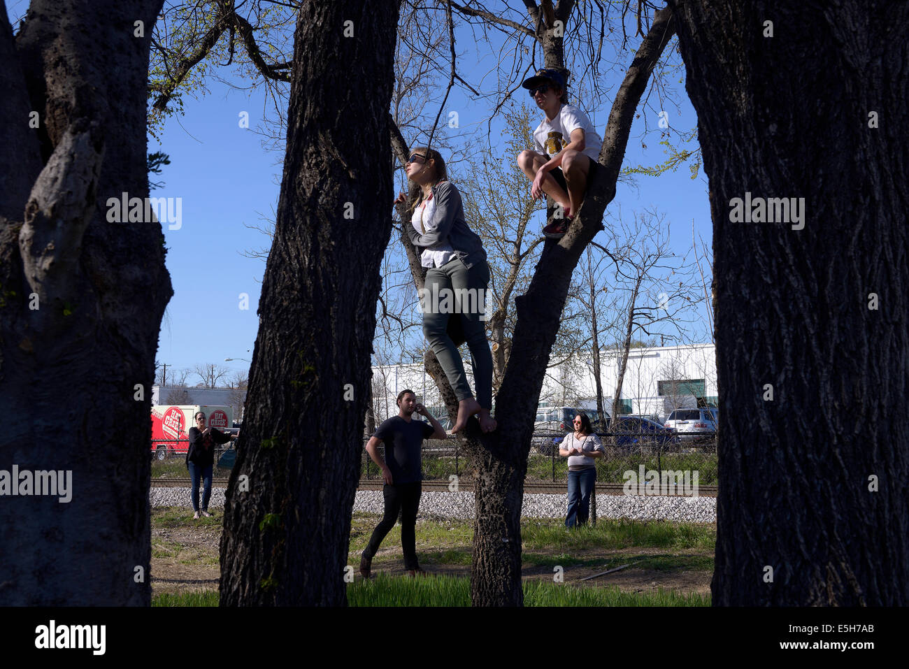 Austin Texas Straßenkunst Sxsw Usa Baum Ansicht Konzert Stockfoto