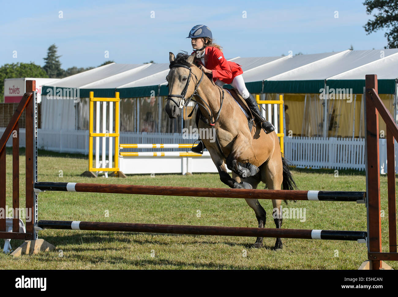 Ponys im Wettbewerb mit einem Springturnier im "New Forest & Hampshire County Show 2014". Stockfoto