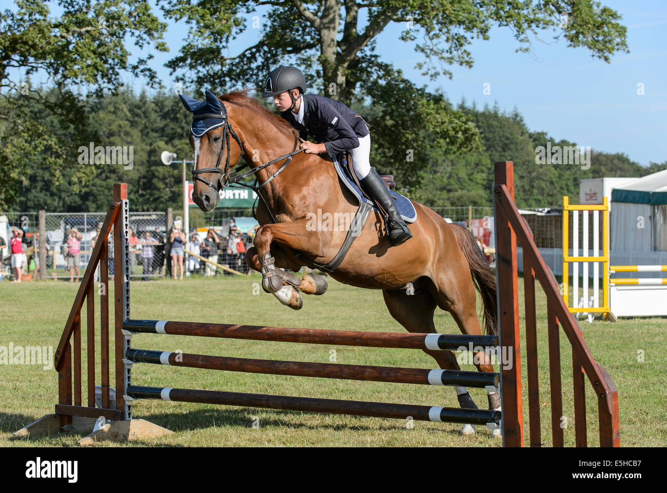 Ponys im Wettbewerb mit einem Springturnier im "New Forest & Hampshire County Show 2014". Stockfoto