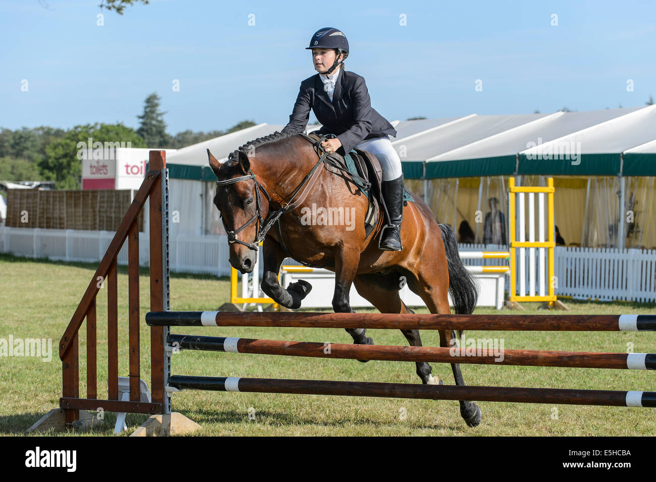 Ponys im Wettbewerb mit einem Springturnier im "New Forest & Hampshire County Show 2014". Stockfoto