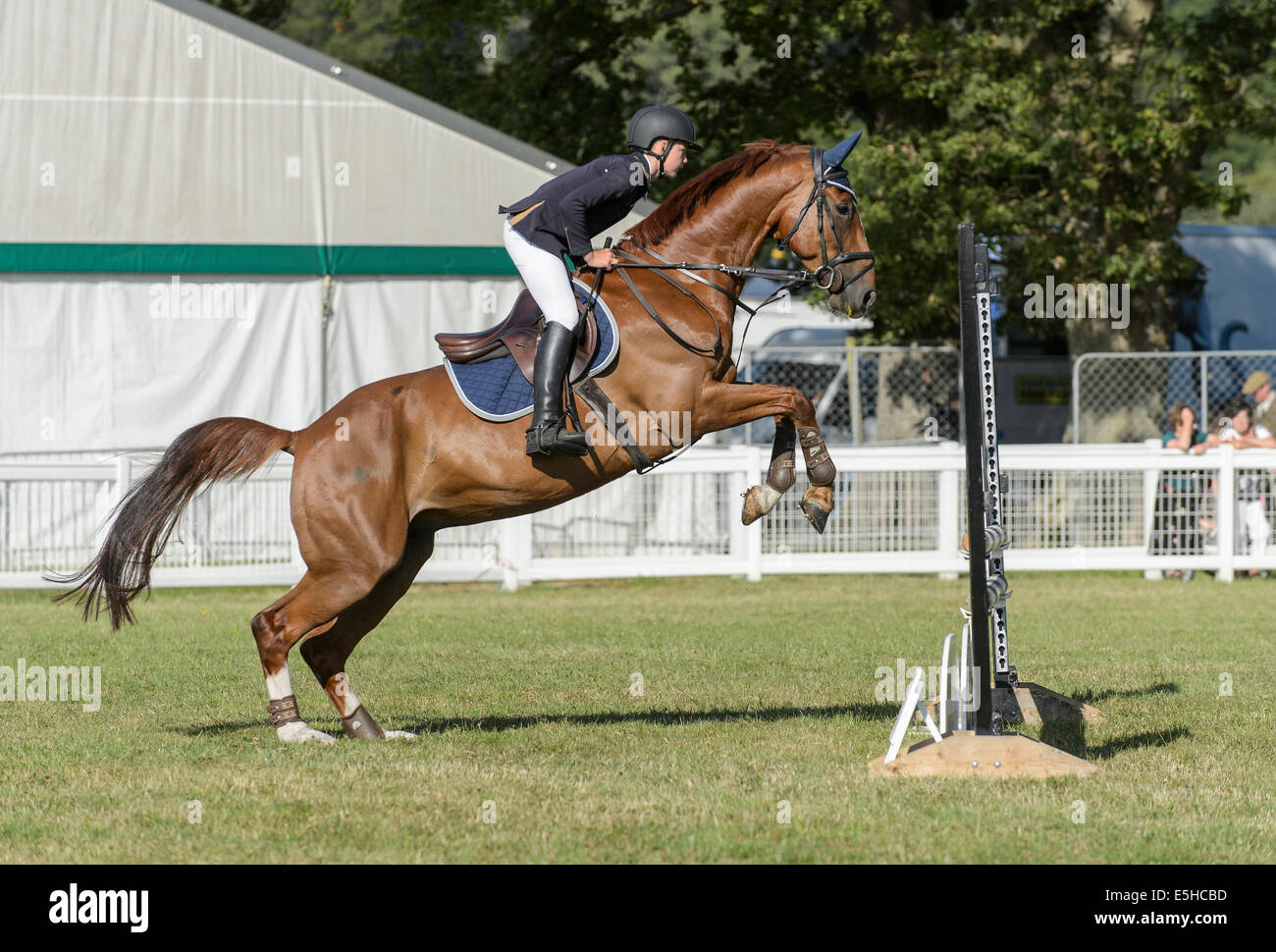 Ponys im Wettbewerb mit einem Springturnier im "New Forest & Hampshire County Show 2014". Stockfoto