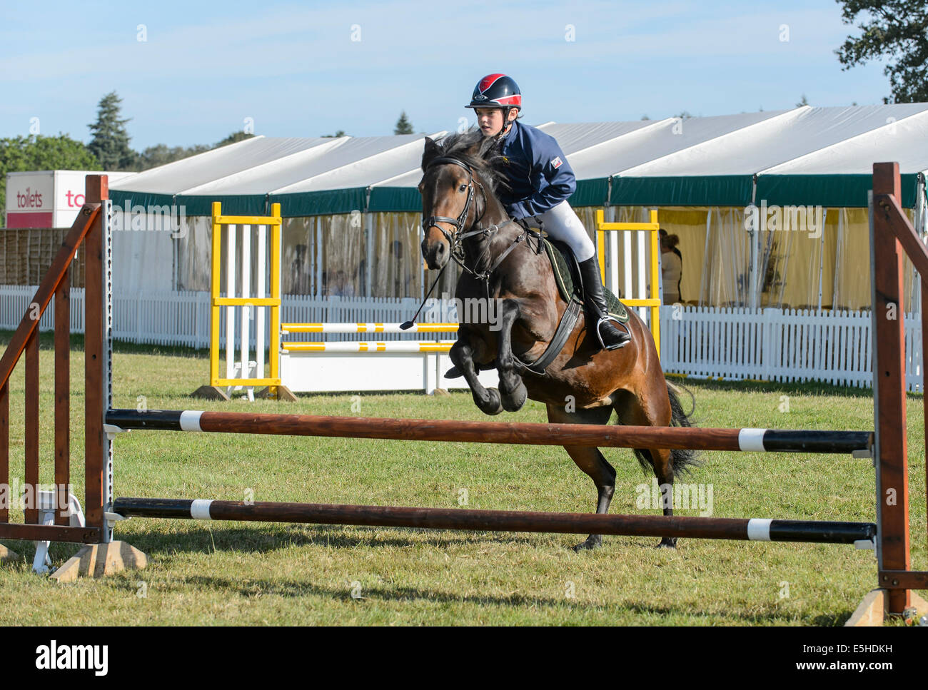 Ponys im Wettbewerb mit einem Springturnier im "New Forest & Hampshire County Show 2014". Stockfoto