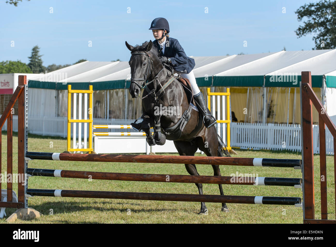 Ponys im Wettbewerb mit einem Springturnier im "New Forest & Hampshire County Show 2014". Stockfoto