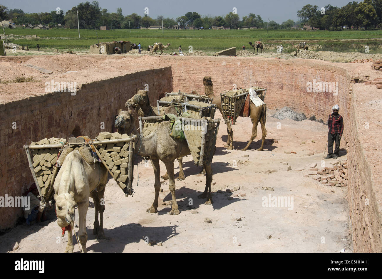 Ziegel-Produktionseinheit, Allahabad, Uttar Pradesh, Indien Stockfoto