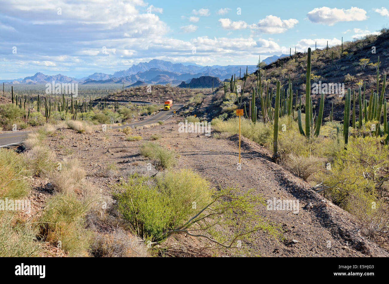 Highway 1, nördlich von Loreto, Sierra De La Giganta, Baja California Sur, Mexiko Stockfoto