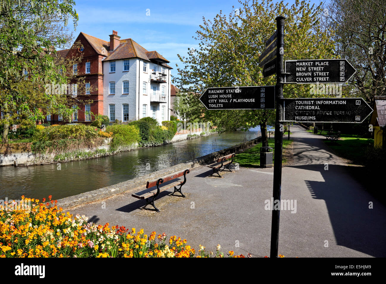 9611. riverside Walk & Fluss Avon, Salisbury, Wiltshire Stockfoto