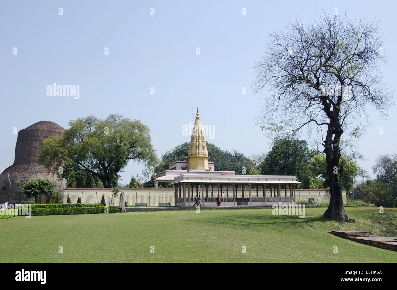 Jain-Tempel. Sarnath, Uttar Pradesh, Indien. Die Dhamek-Stupa ist teilweise im Hintergrund zu sehen. Stockfoto