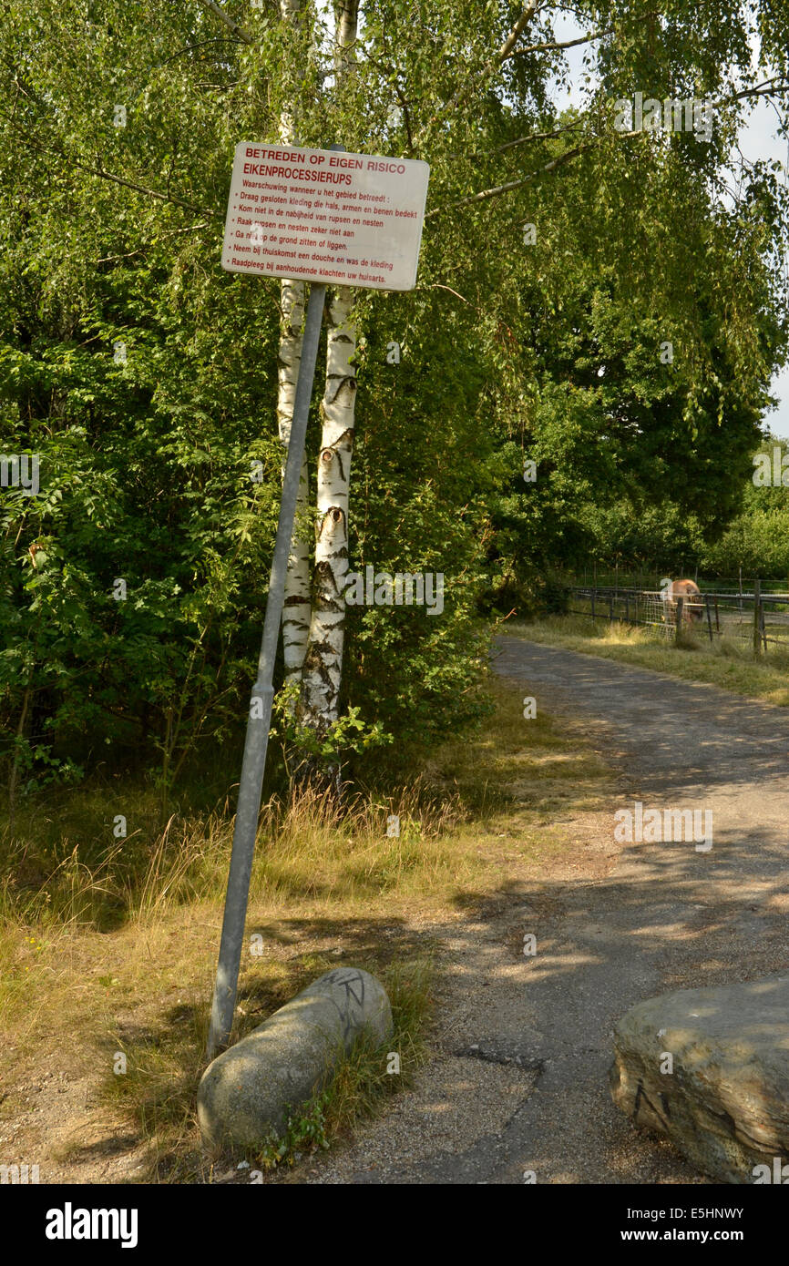 Weg durch den Eichenwald in Heerlen, Limburg Provinz der Niederlande, warnende Zeichen über Eiche Pinienprozessionsspinner Raupen Stockfoto