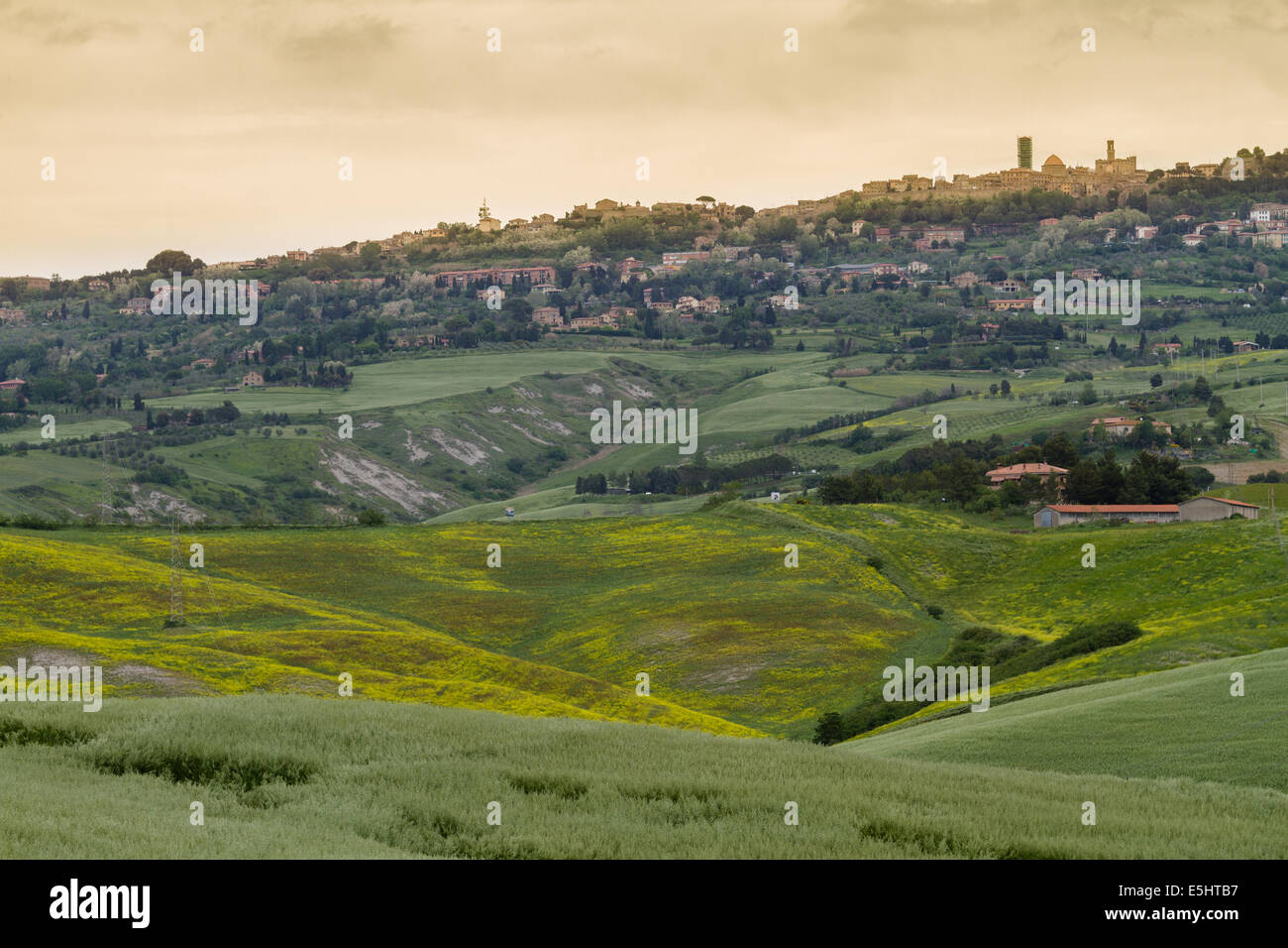 Toskana-Landschaft rund um Pienza, Val d ' Orcia, Italien Stockfoto