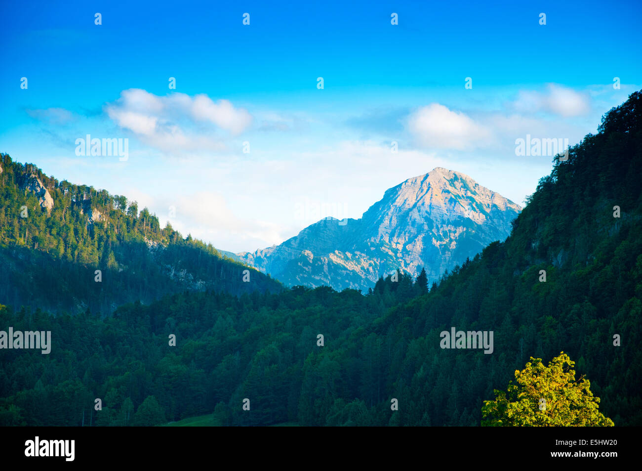 Berglandschaft in Ruhpolding Stockfoto
