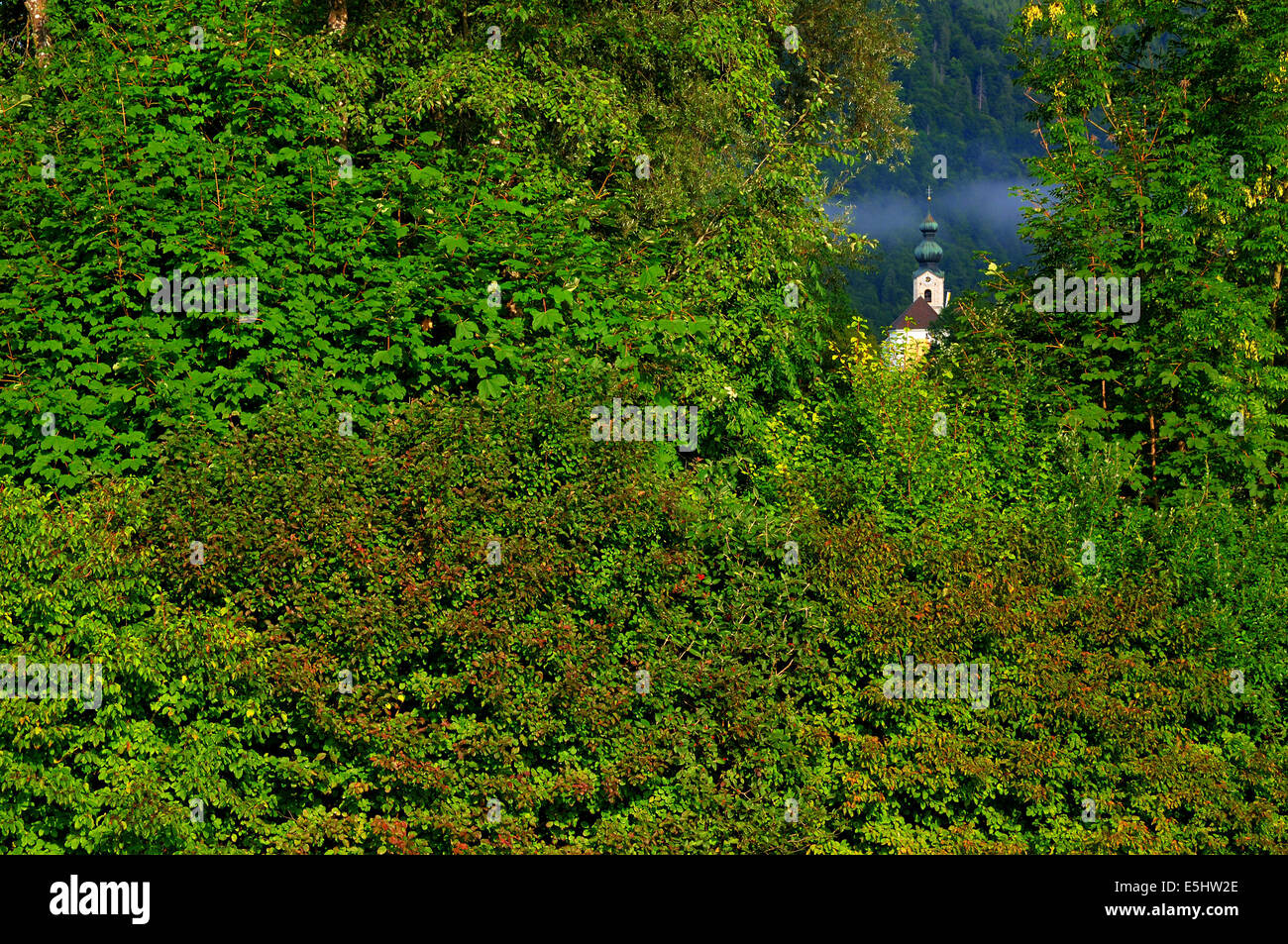 Kirche St. Georg in Ruhpolding/Deutschland in ein Loch von einer Hecke Stockfoto