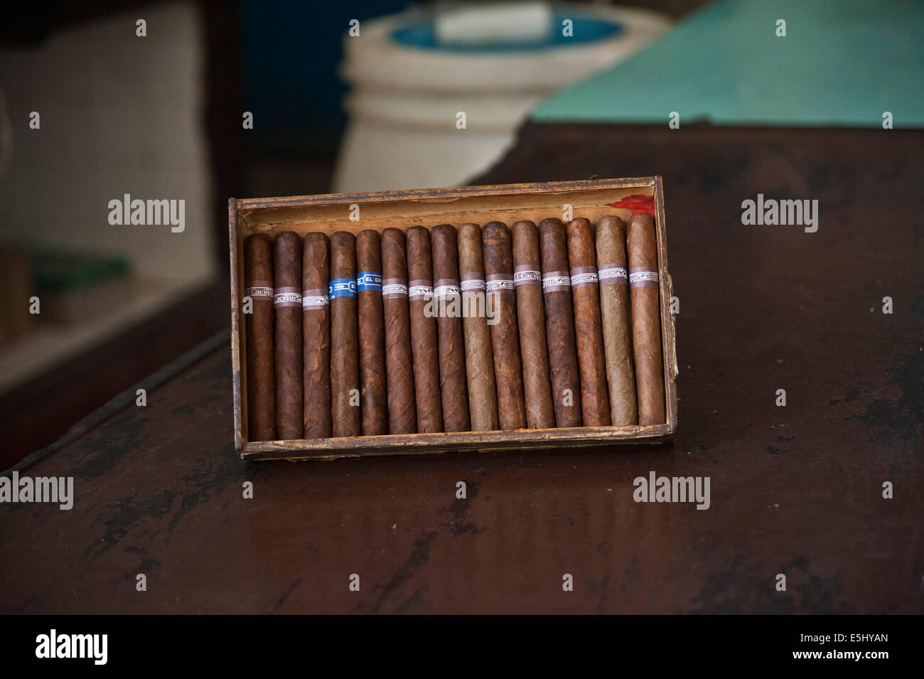 Authentische kubanische Zigarren im Humidor im Geschenkeladen in Havanna, Kuba Stockfoto