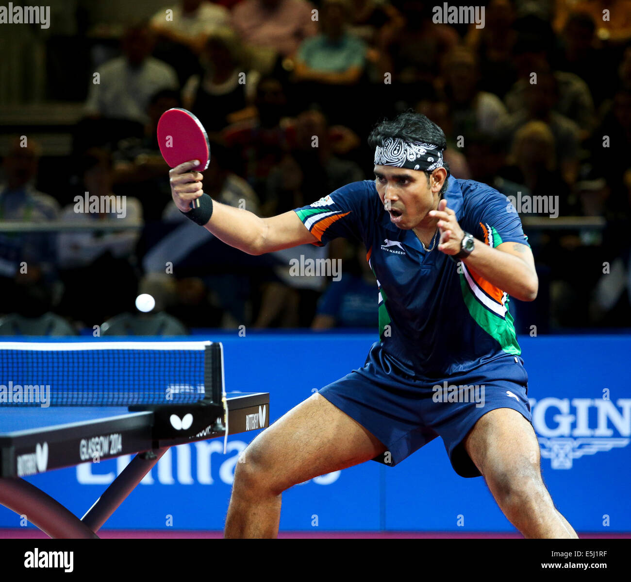 Glasgow, Schottland. 1. August 2014.  Am Abend Einzel Tischtennis-Aktion. Medaille Play-off-Spiele. Viertelfinale. Sharath Kamal Achanta IND 4-1 Paul Drinkhall Ing. Credit: ALAN OLIVER/Alamy Live-Nachrichten Stockfoto