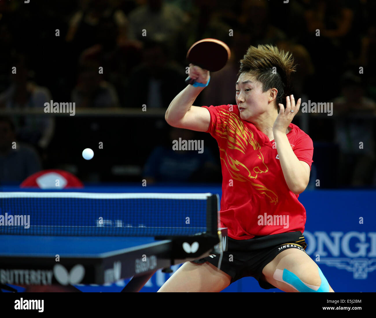 Glasgow, Schottland. 1. August 2014.  Am Abend Einzel Tischtennis-Aktion. Medaille Play-off-Spiele. Tianwei Feng SIN (lila Top) 4-1 Mengyu Yu-SIN (rot oben) Gold Medal Match. Bildnachweis: ALAN OLIVER/Alamy Live-Nachrichten Stockfoto