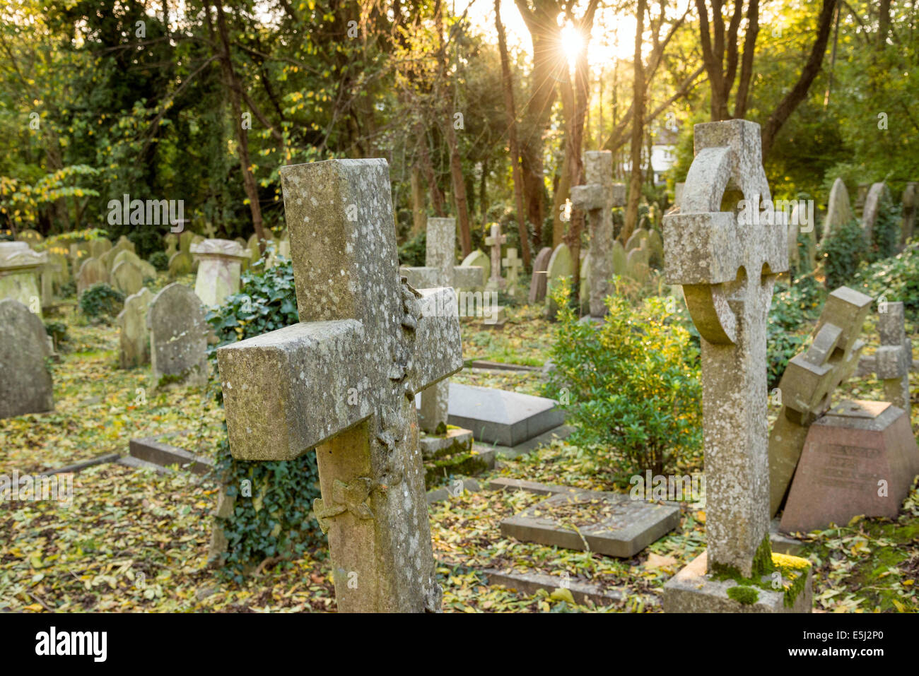 Alte Grabsteine in Highgate Cemetery in London, England, UK Stockfoto